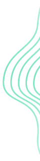 Section decorative background